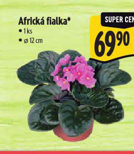 AFRICK FIALKA