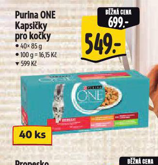 PURINA ONE KAPSIKY PRO KOKY