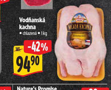 VODANSK KACHNA