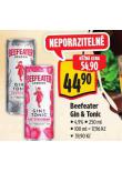 BEEFEATER GIN & TONIC