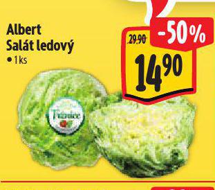 SALT LEDOV