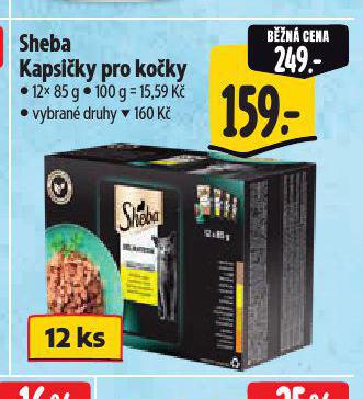 SHEBA KAPSIKY PRO KOKY