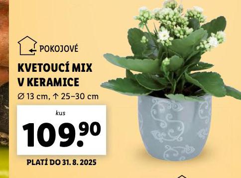 KVETOUC MIX V KERAMICE