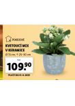 KVETOUC MIX V KERAMICE