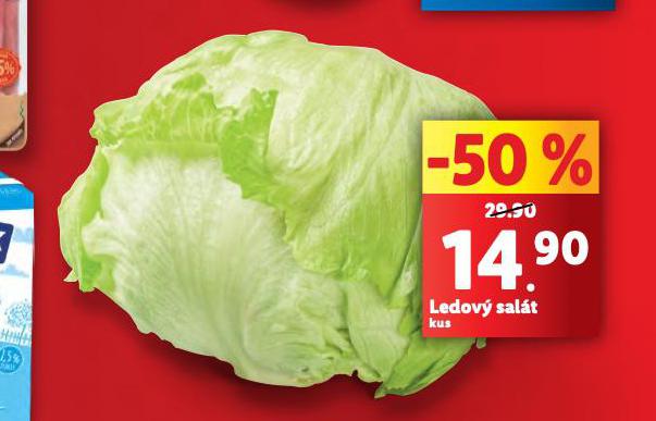 LEDOV SALT