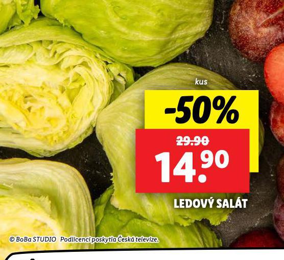 LEDOV SALT