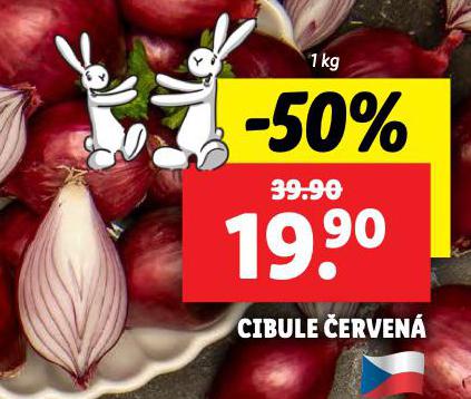 CIBULE ERVEN