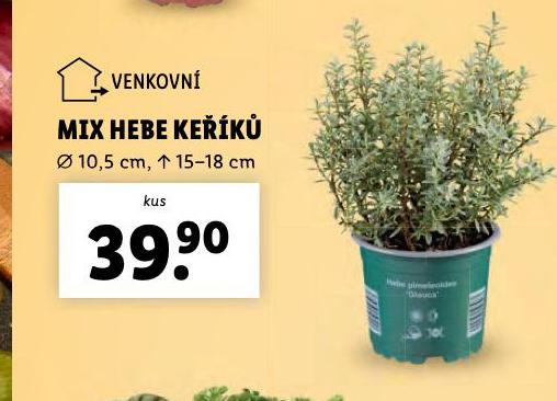 MIX HEBE KEK