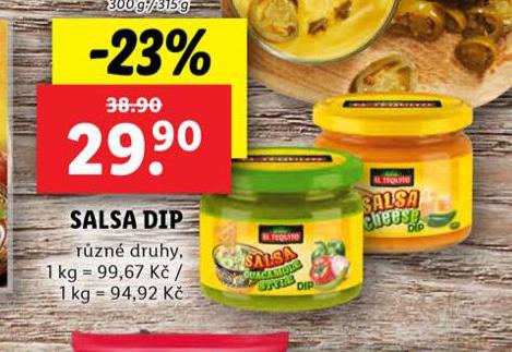 SALSA DIP