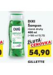 DIXI AMPON