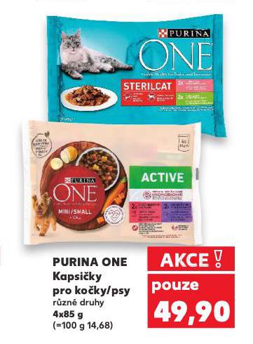 PURINA ONE KAPSIKY PRO PSY