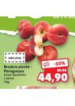 BROSKVE PLOCH