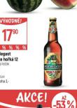 PIVO RADEGAST RYZE HOK 12