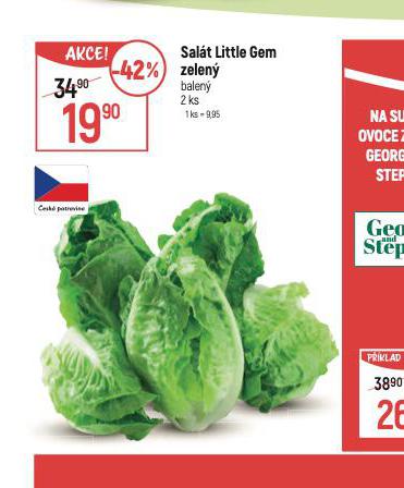 SALT LITTLE GEM ZELEN