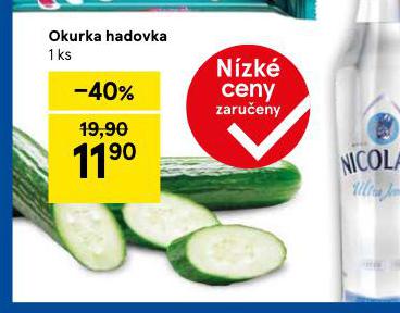 OKURKA HADOVKA