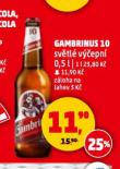 PIVO GAMBRINUS