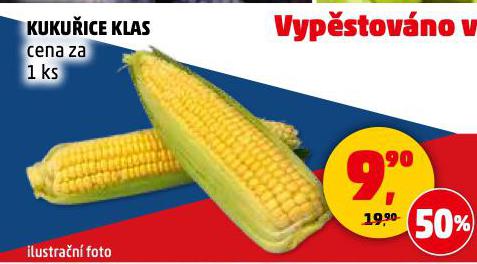 KUKUICE KLAS