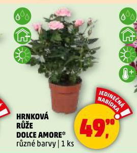 HRNKOV RَE DOLCE AMORE