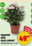 HRNKOV RَE DOLCE AMORE