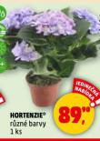 HORTENZIE