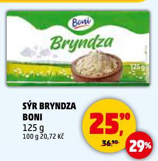 SR BRYNDZA