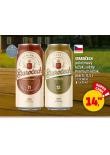 PIVO STAROECH