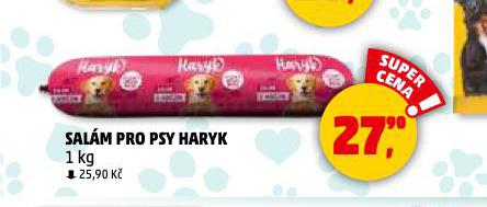 HARYK SALM PRO PSY