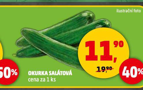 OKURKA SALTOV