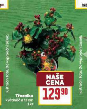 TEZALKA