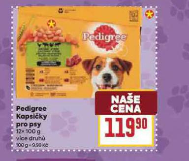 PEDIGREE KAPSIKY PRO PSY