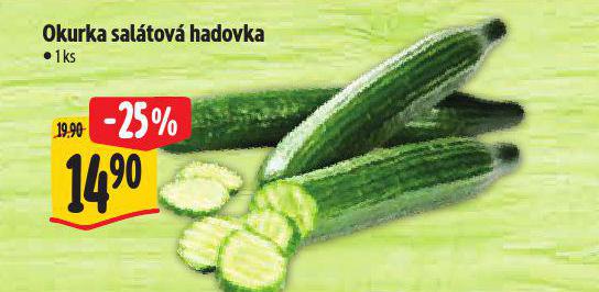 AKURKA SALTOV HADOVKA