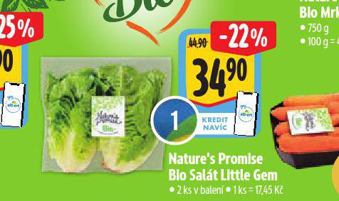 BIO SALT LITTLE GEM