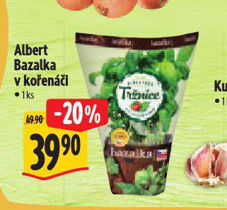 BAZALKA V KOENI
