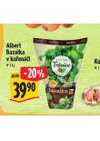 BAZALKA V KOENI