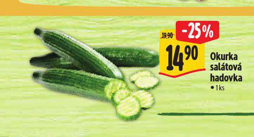 OKURKA SALTOV HADOVKA