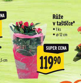 RَE V TATICE