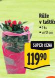 RَE V TATICE