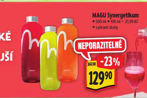 SYNERGETIKUM MAGU