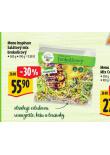 MENU INSPIARACE SALTOV MIX BROKOLICOV
