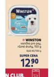 WINSTON VANIKA PRO PSY