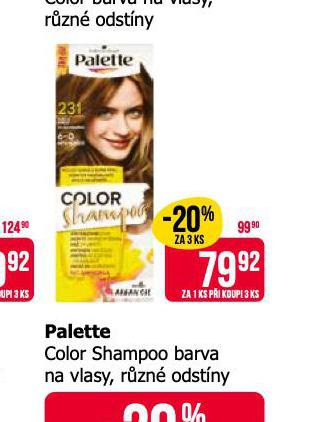 PALETTE COLOR  SHAMPOO BARVA NA VLASY
