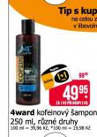 4WARD KOFEINOV AMPON