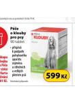 PE O KLOUBY PRO PSY