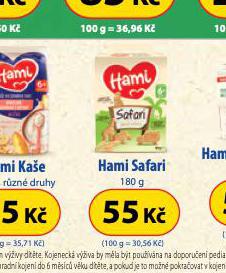 HAMI SAFARI