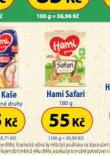 HAMI SAFARI