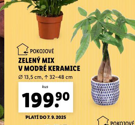 ZELEN MIX V MODR KERAMICE