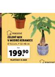 ZELEN MIX V MODR KERAMICE