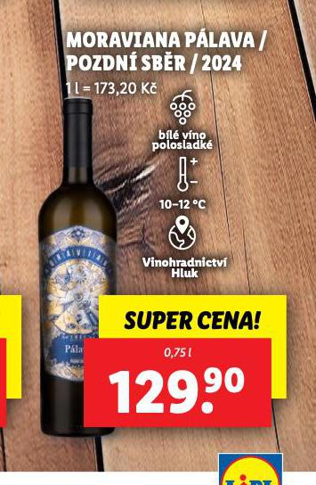 MORAVIAN PLAVA / POZDN SBR / 2024