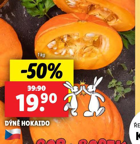 DN HOKAIDO