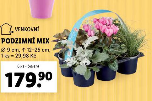 PODZIMN MIX